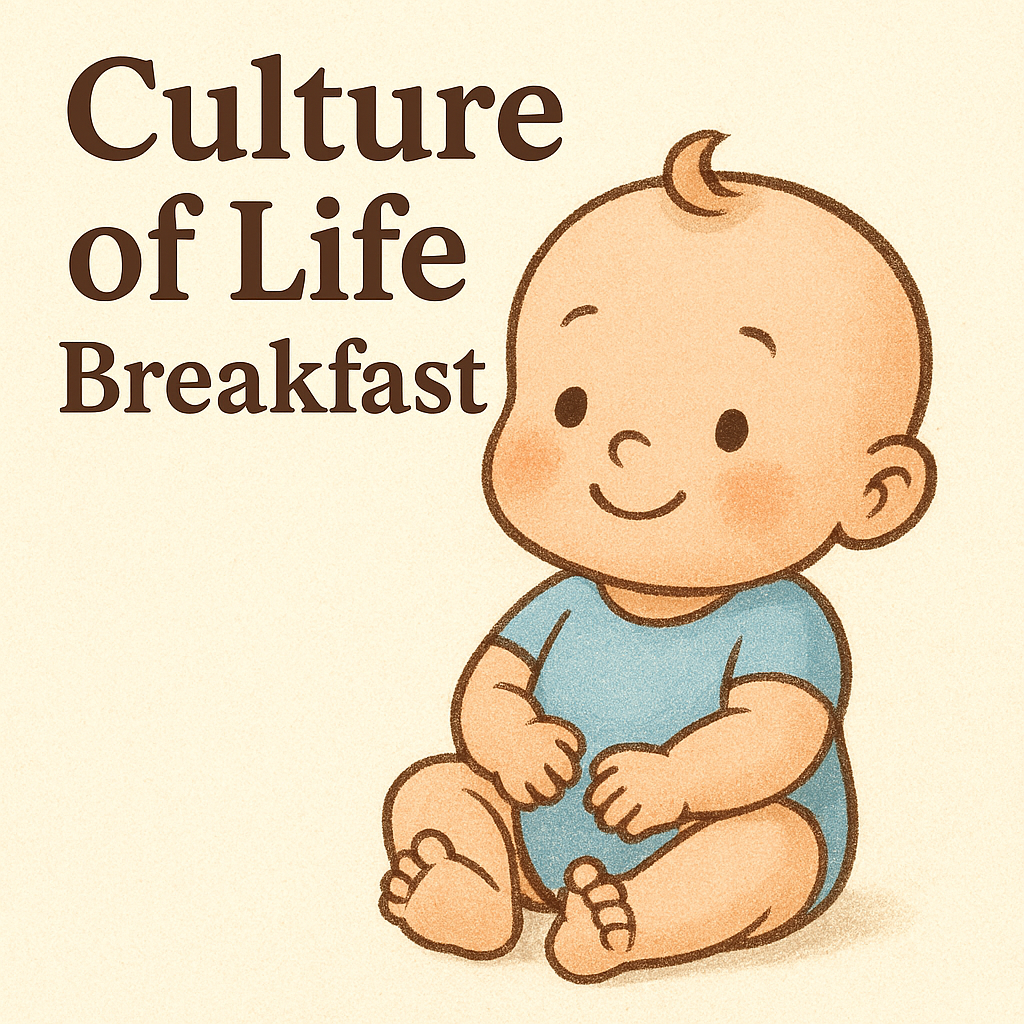 Newsletter November 2025